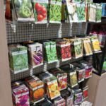 Vegetable seeds for Kitchen garden