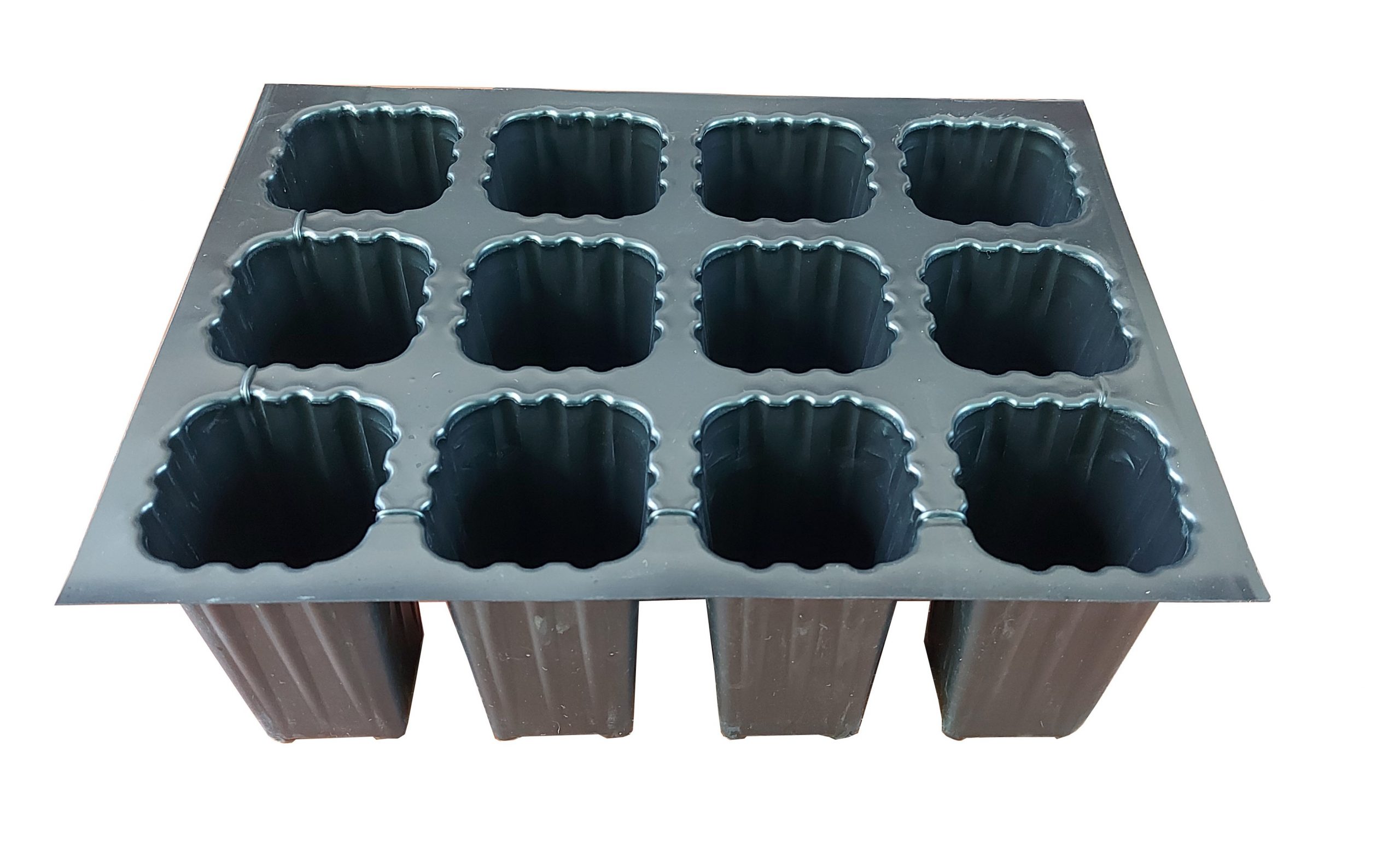 12 Cavity Seedling tray, 12 cell seedling tray