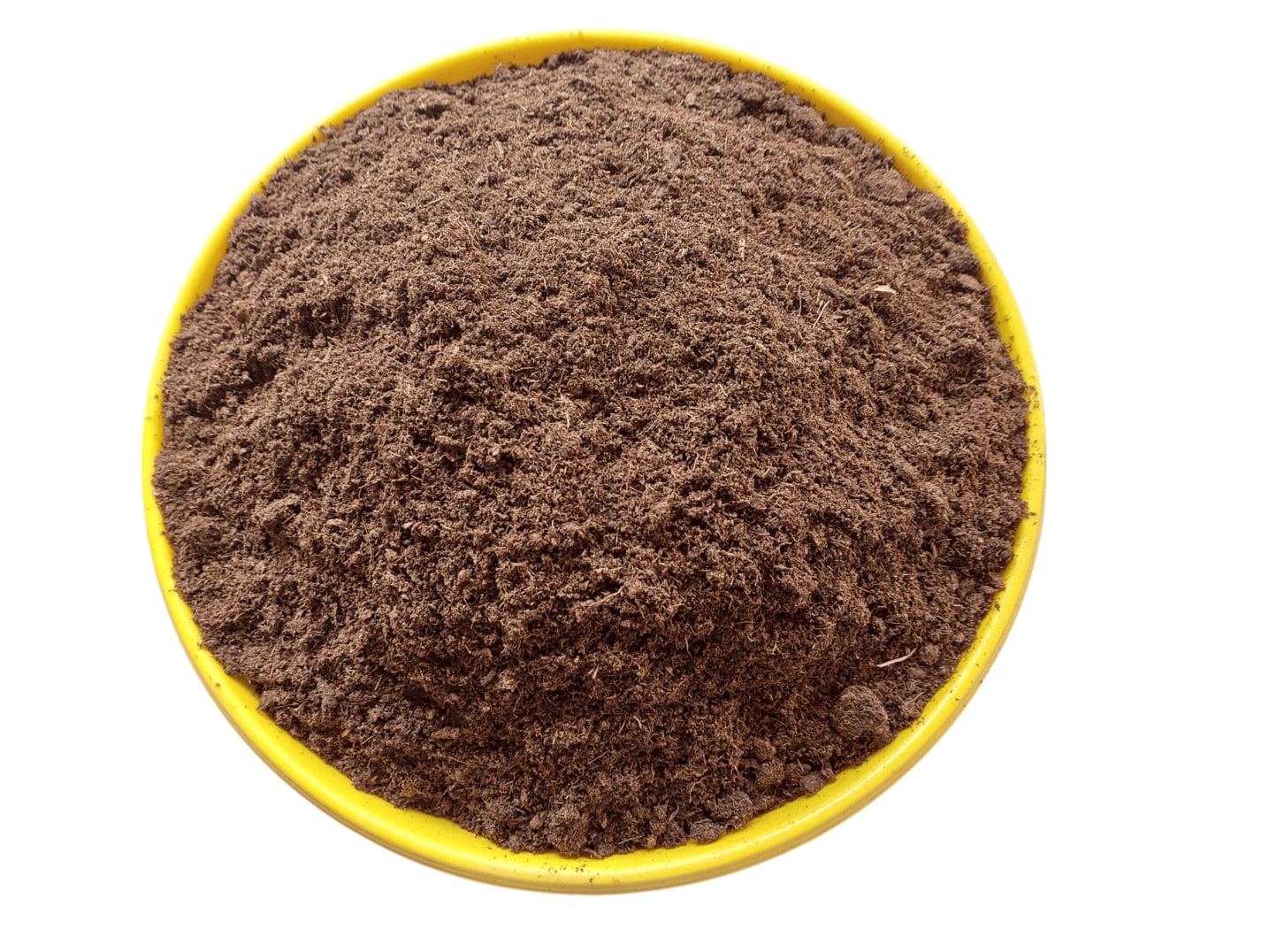 Peat moss Sphagnum Sp