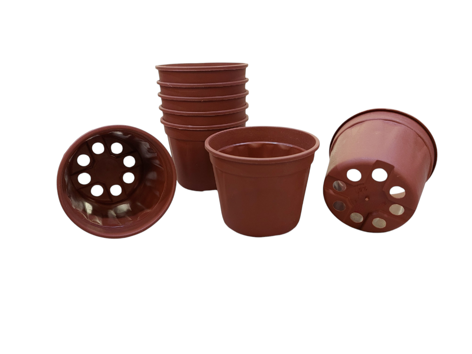 2.5 Inch Nursery Pot Terracotta