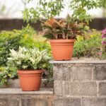 Bello Round Plastic Pot
