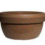 Lotus Bowl Plant