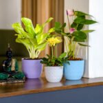 Verona Diamond Indoor Planters