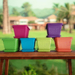 Bello Square Plastic Pot with Bottom Tray
