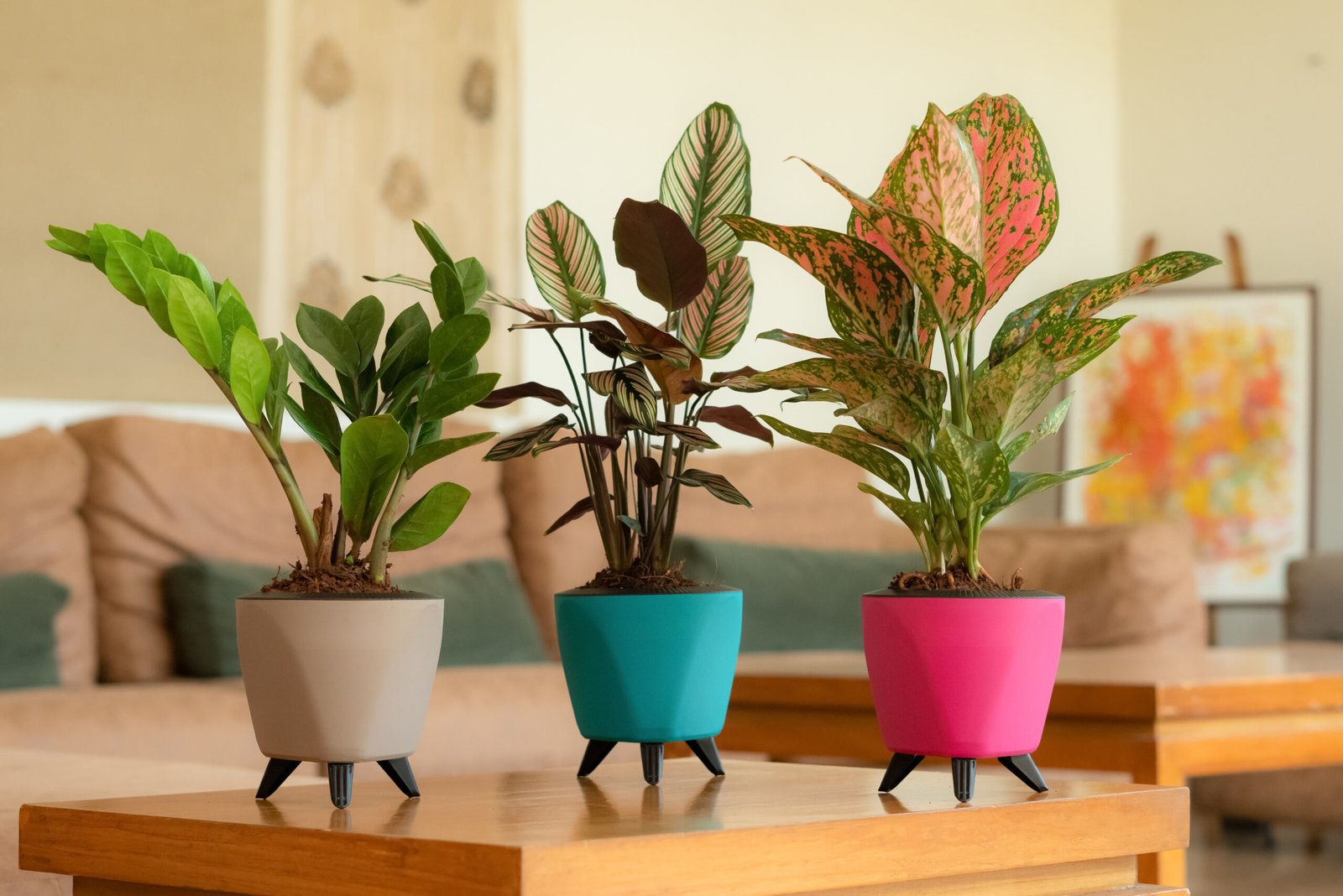Lagos Table Top Plastic Pot