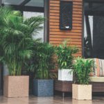 Quebec Square Plastic Planter