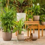 Verona Eco Series Planter