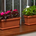Bello Rectangle Plastic Pot