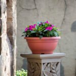 Bowl Planter