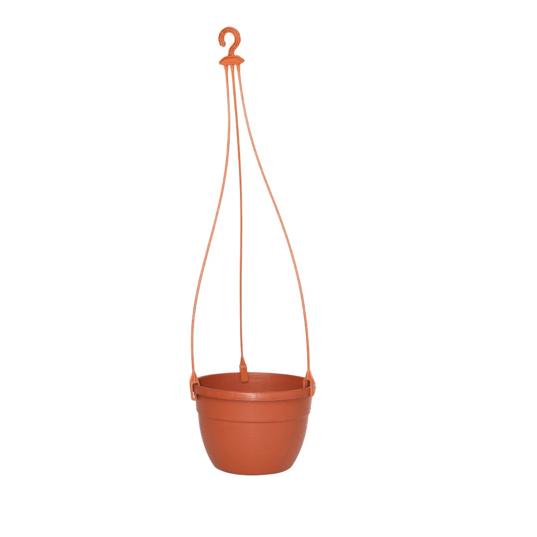 Corsica Hanging basket plastic Pot