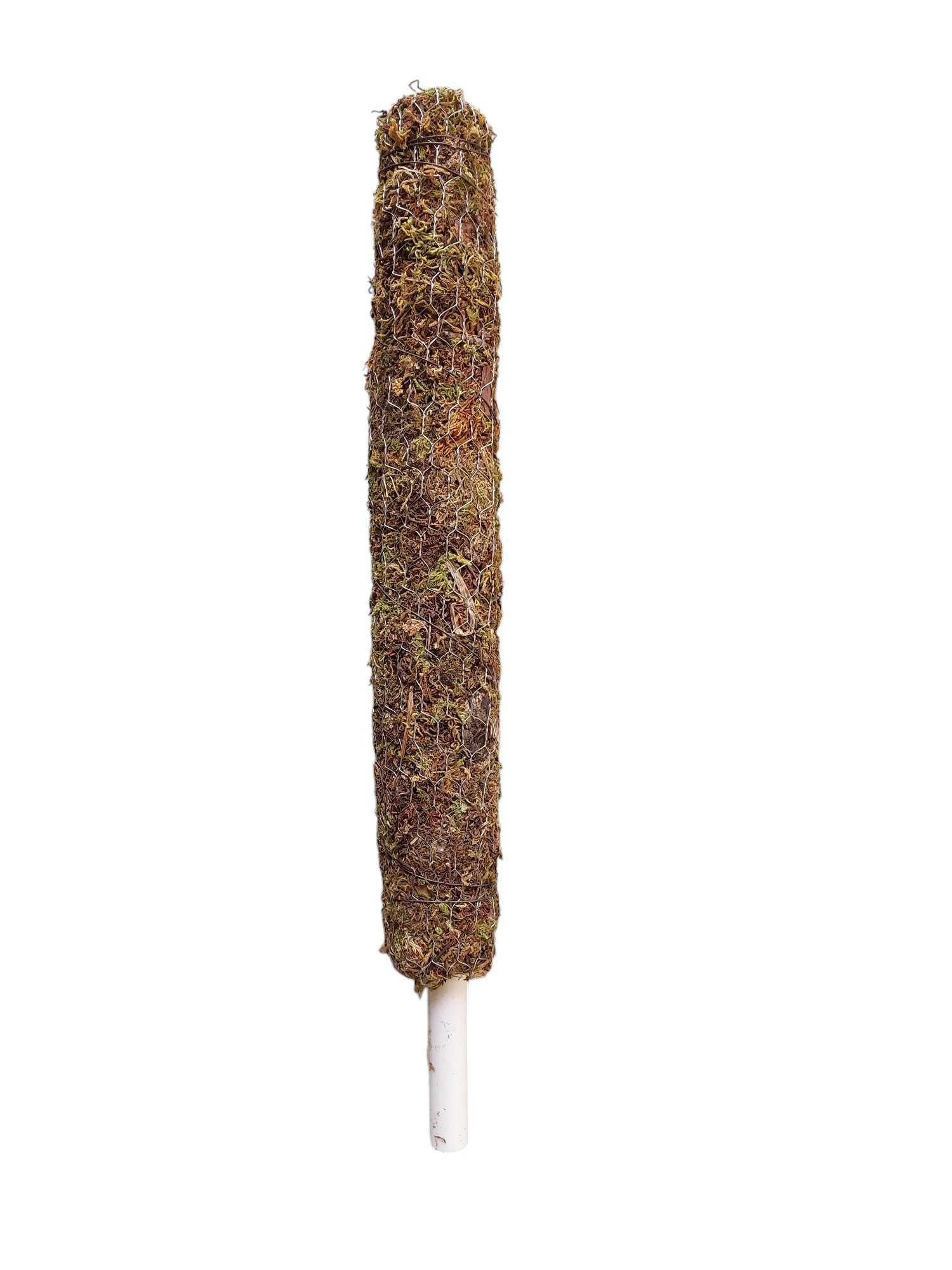 Sphagnum Moss Stick