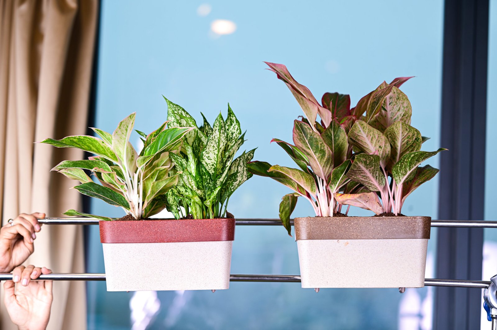 Arty Rectangle & Back Hanger Eco Pot