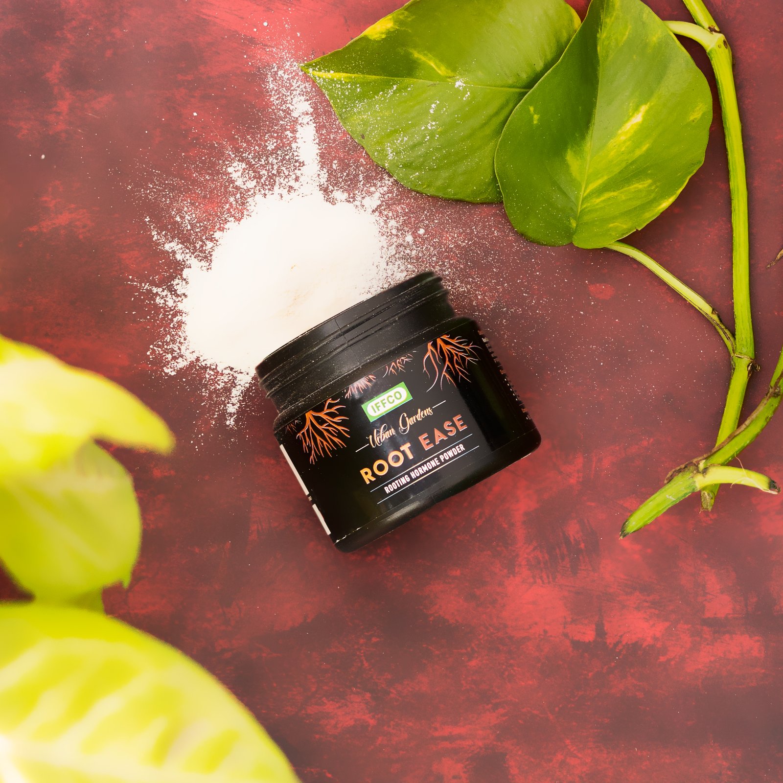 IFFCO Root Ease – Rooting Hormone Powder