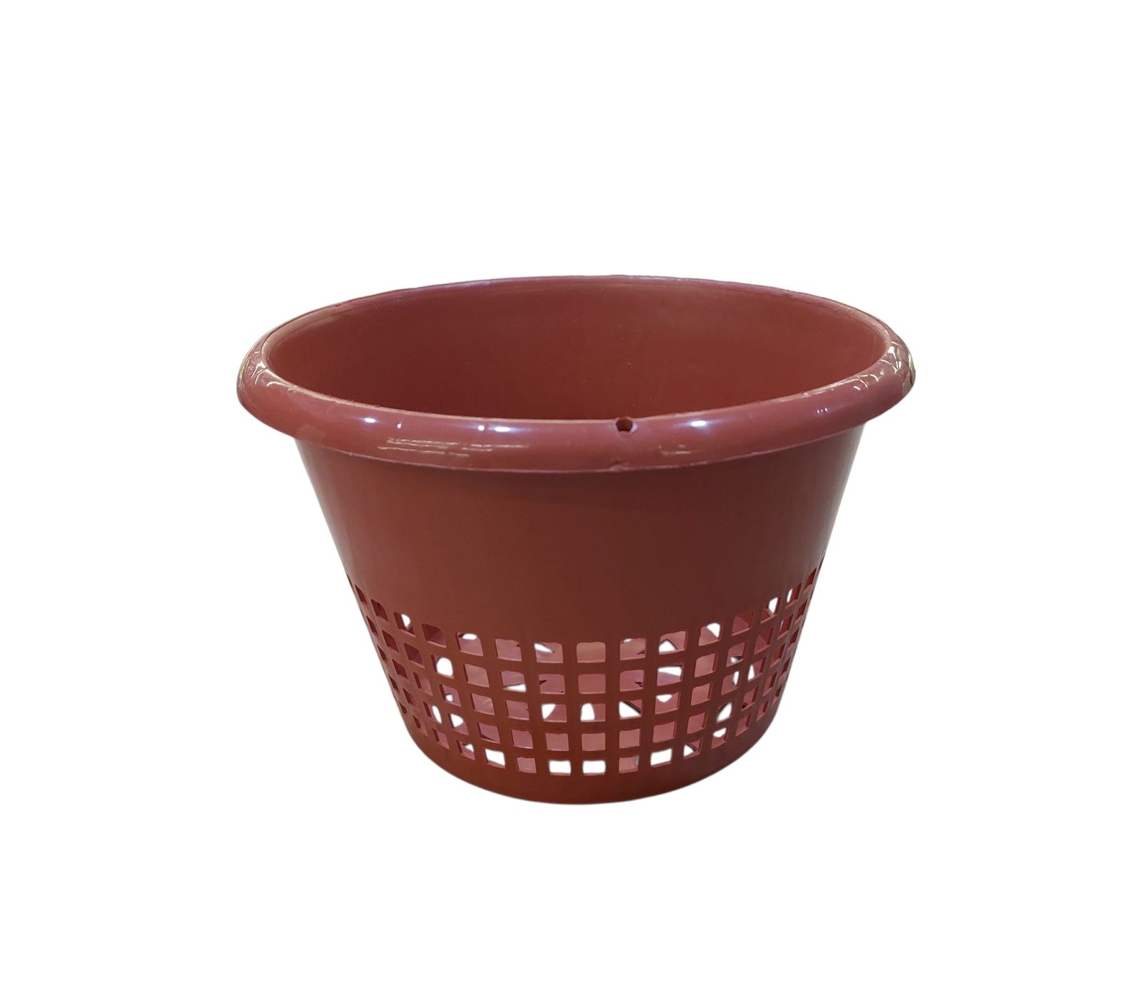 Orchid Pot
