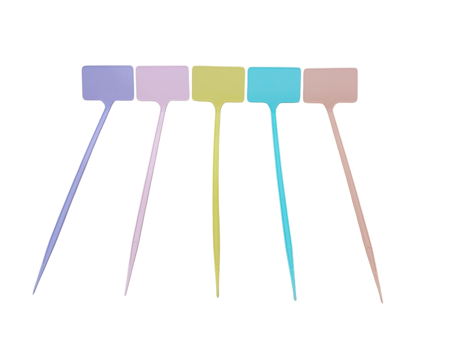 T-Labels