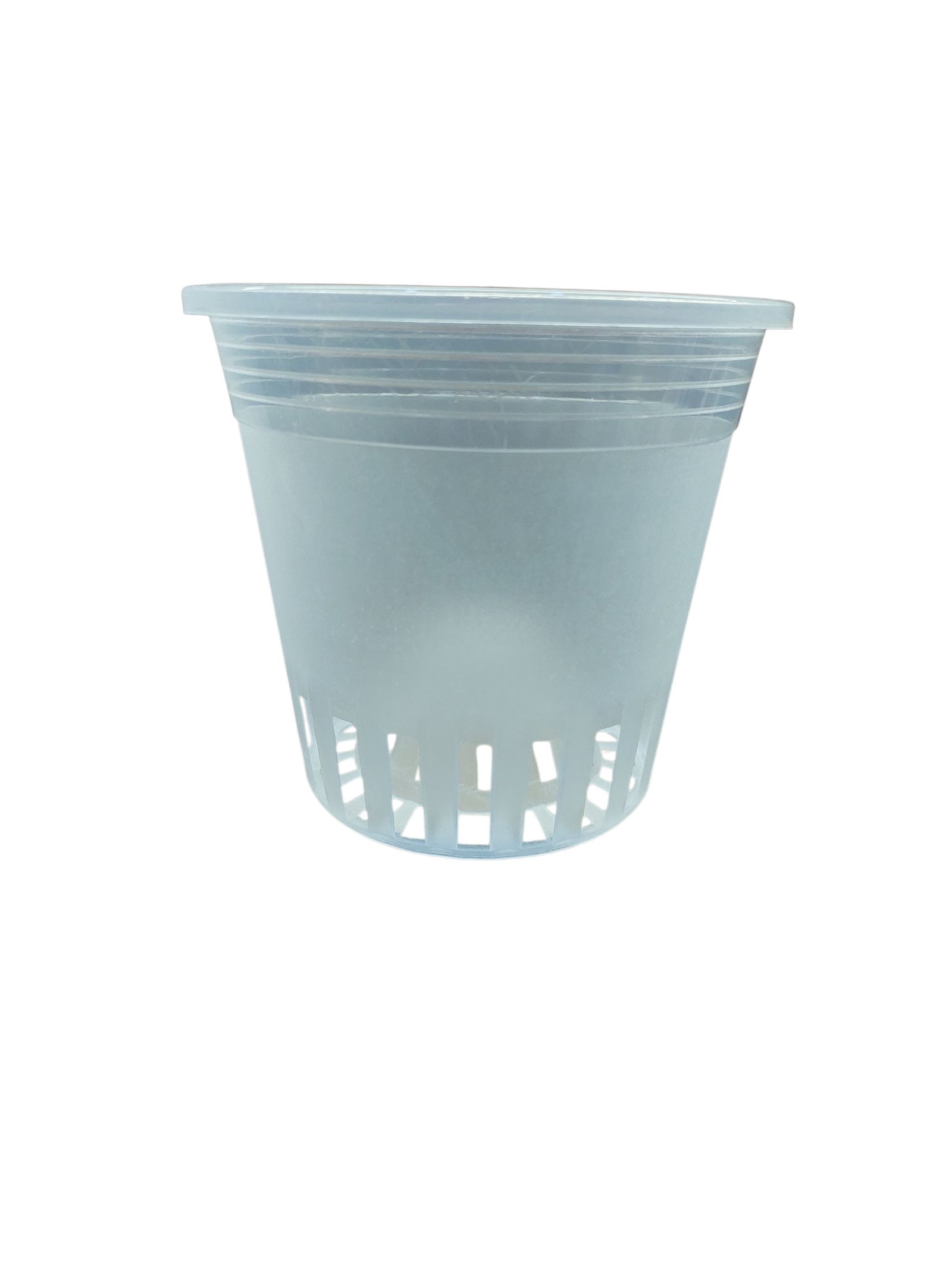 Orchid Transparent pot