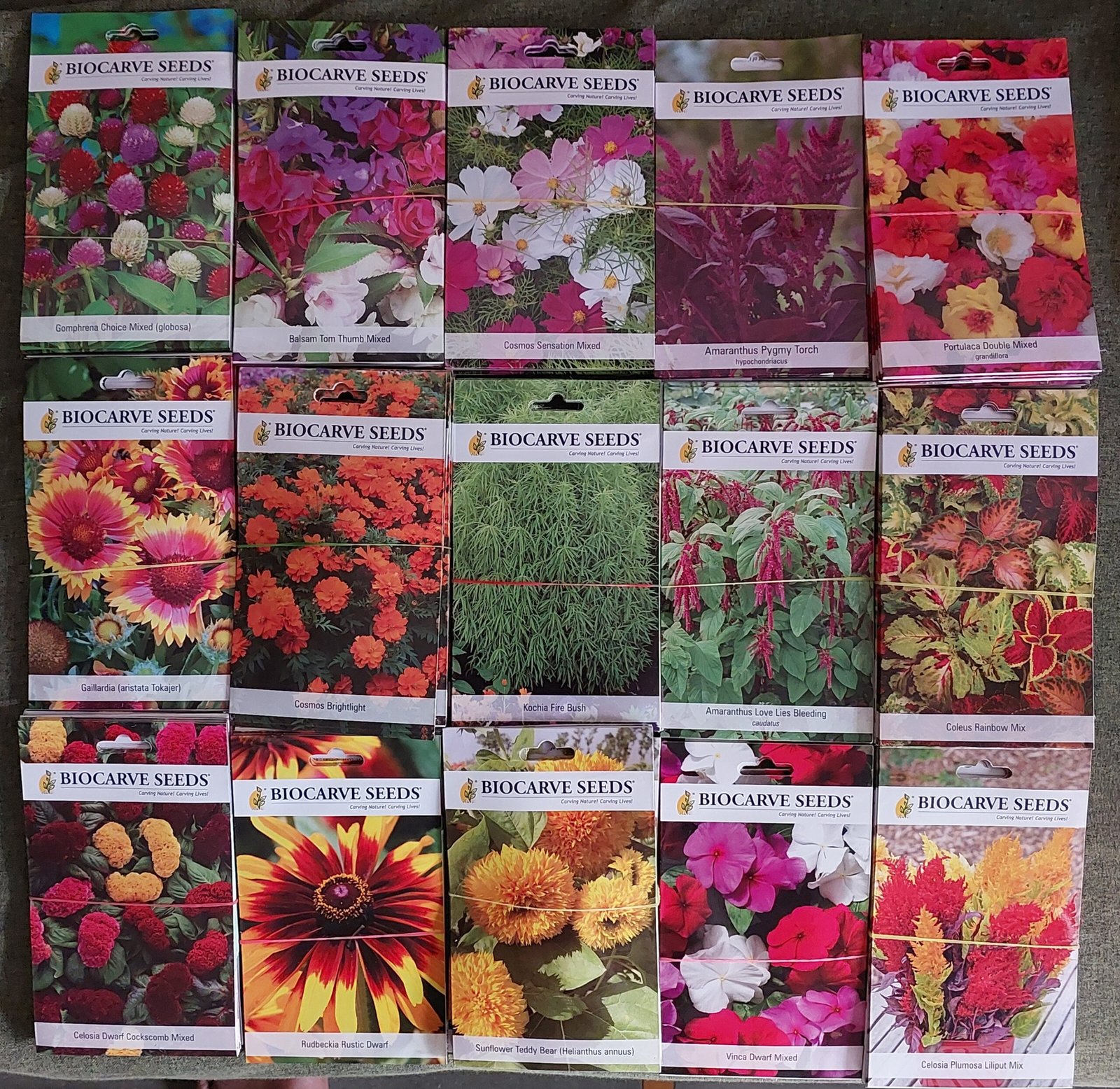 Biocarve Summer Monsoon season Flower Seeds