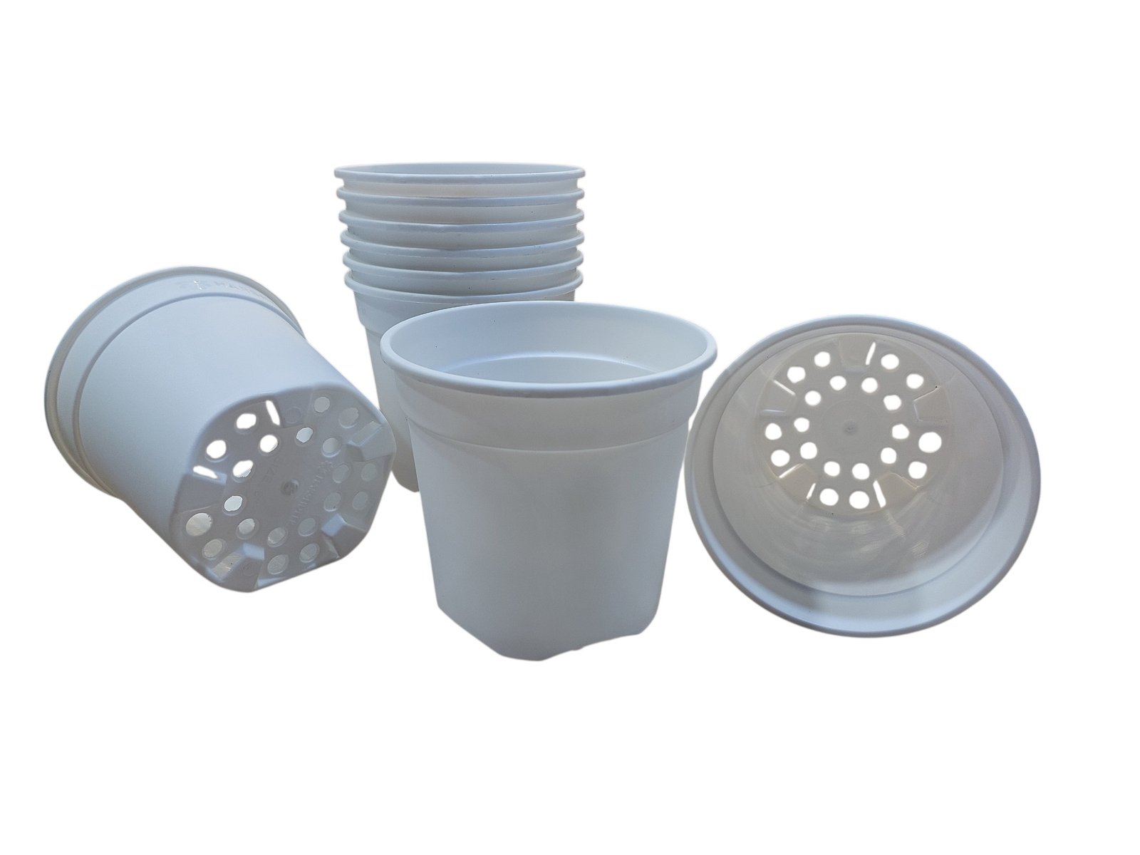 6 inch White Nursery Pot