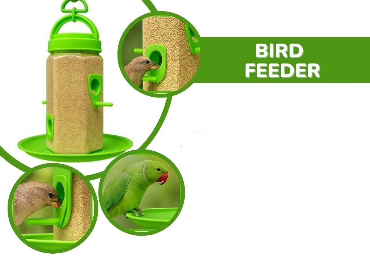 Bird Feeder