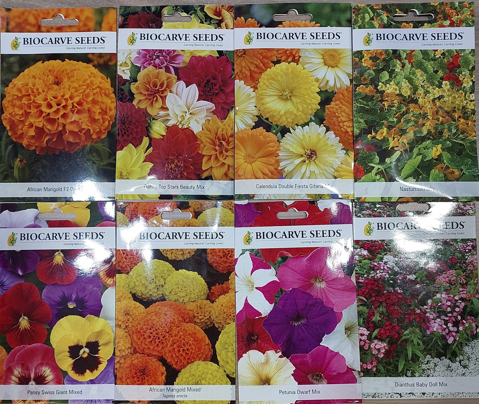 Winter Season flower seeds